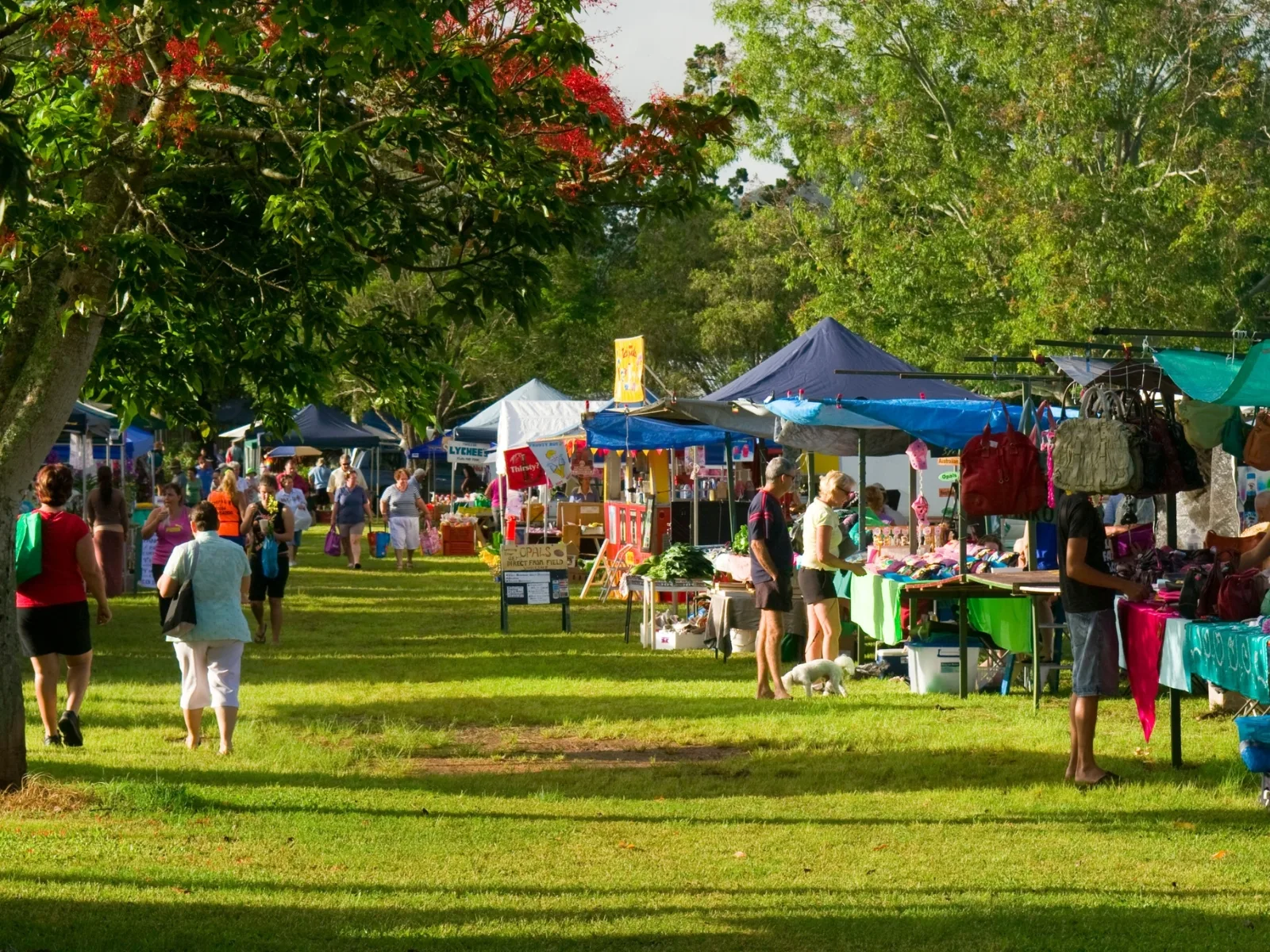A family weekend on the Atherton Tablelands
