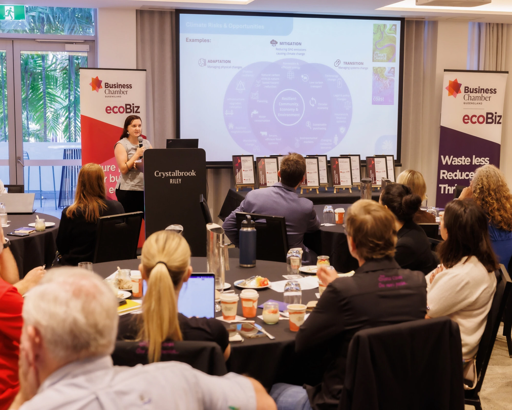 The Crystal Caves and the ecoBiz sustainability program