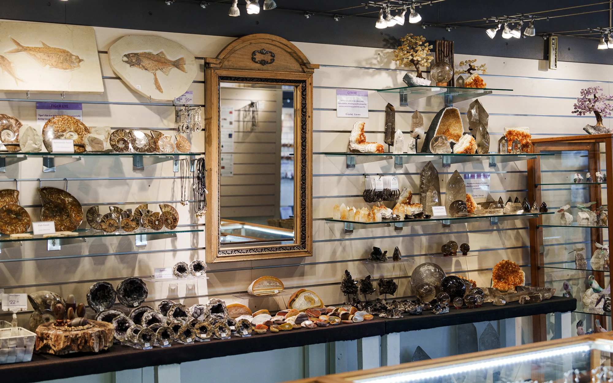 Inside the Fascinating Facets gift shop, with shelves of crystals, fossils and mineral specimens